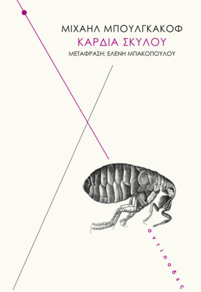 ΚΑΡΔΙΑ ΣΚΥΛΟΥ